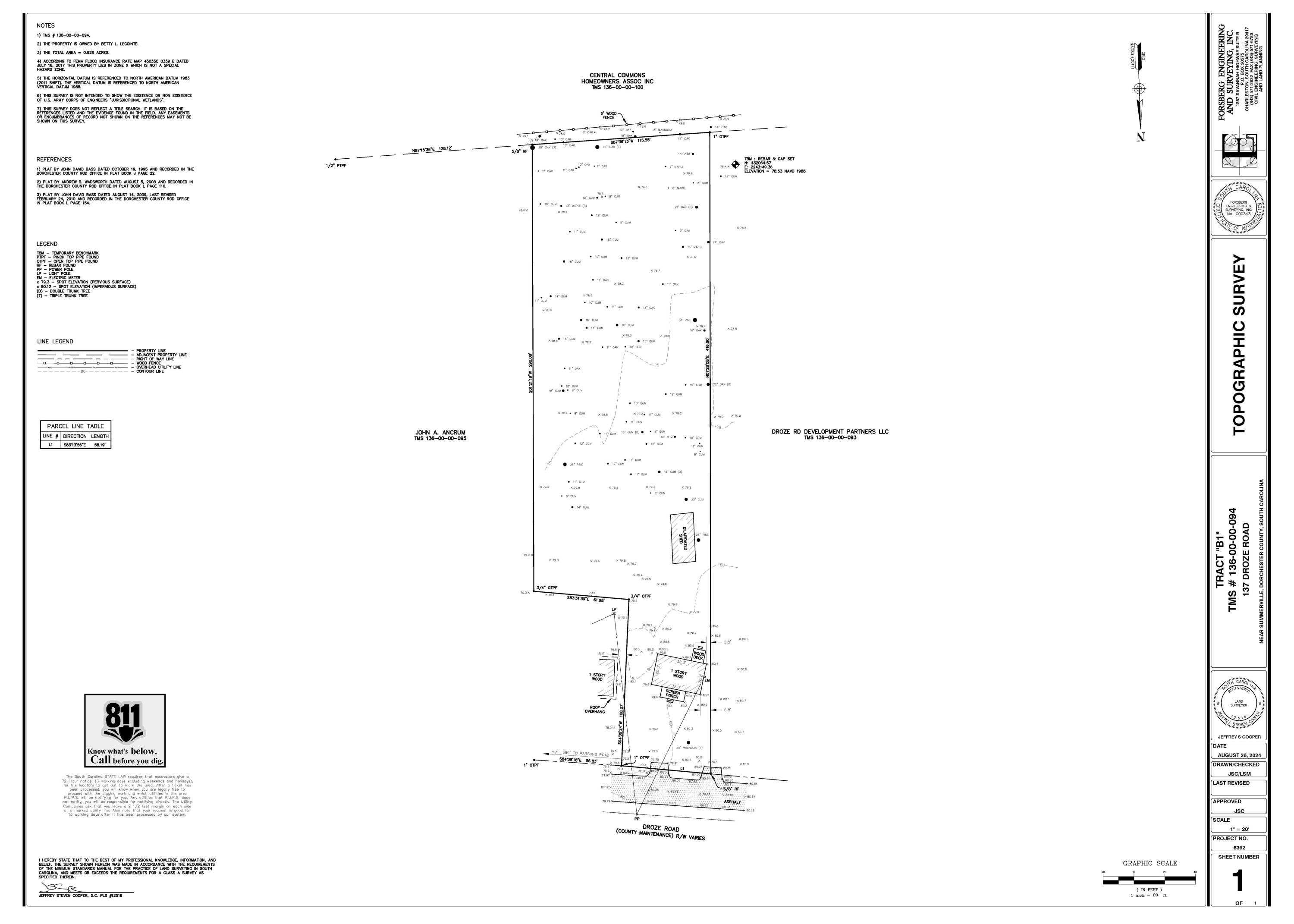 137 Droze Road Summerville, SC 29483 - Photo 2 of 8 137 Droze Survey 3