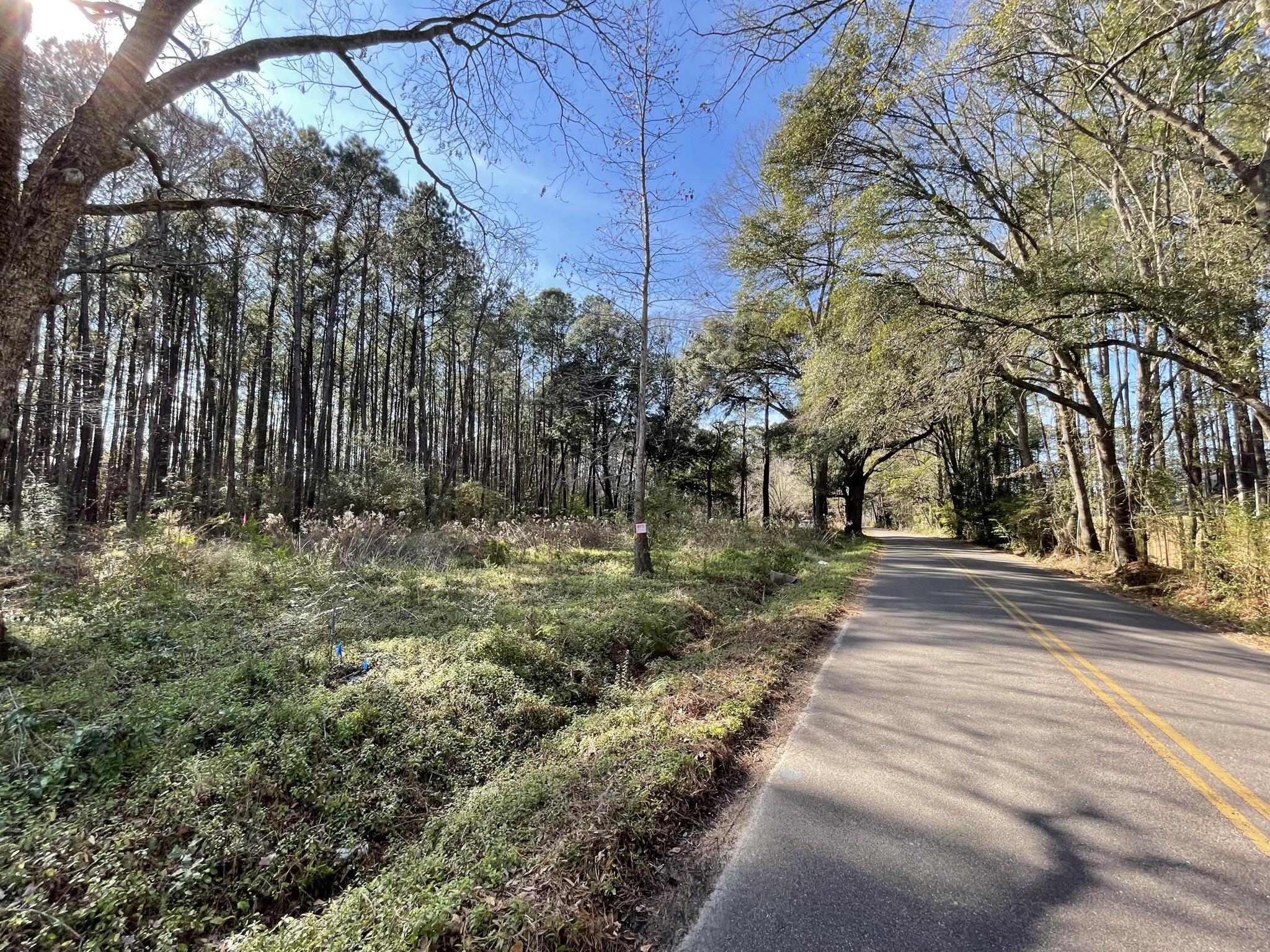 137 Droze Road Summerville, SC 29483 - Photo 3 of 8 Street view