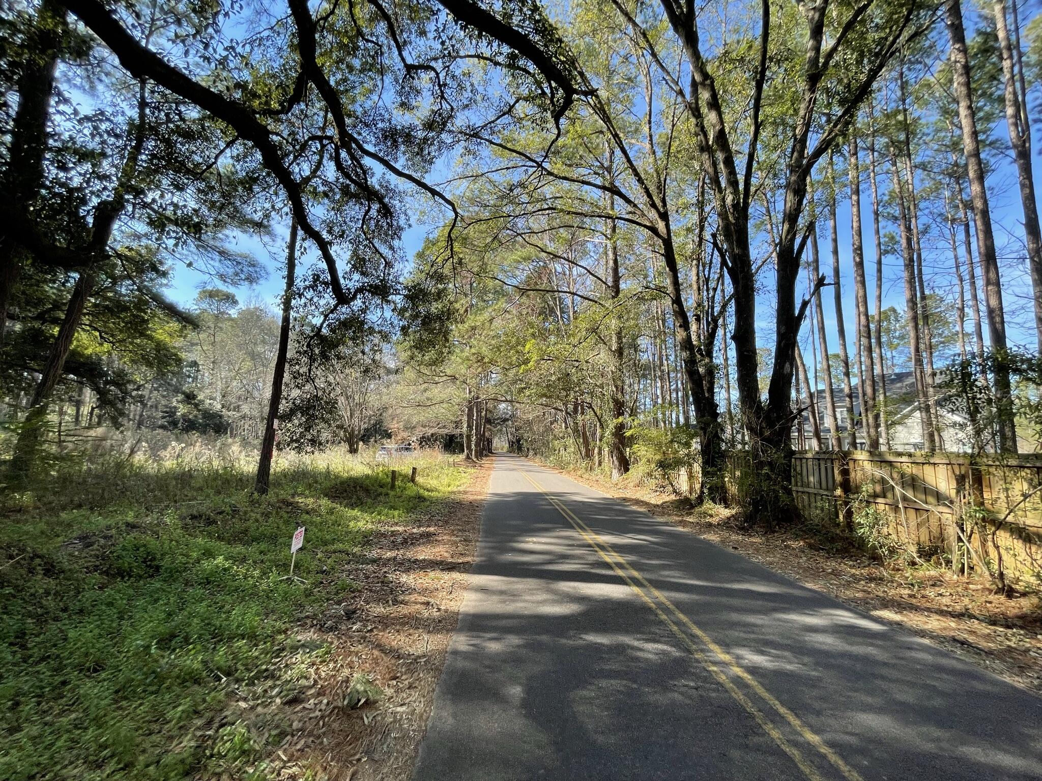 137 Droze Road Summerville, SC 29483 - Photo 4 of 8 Street view