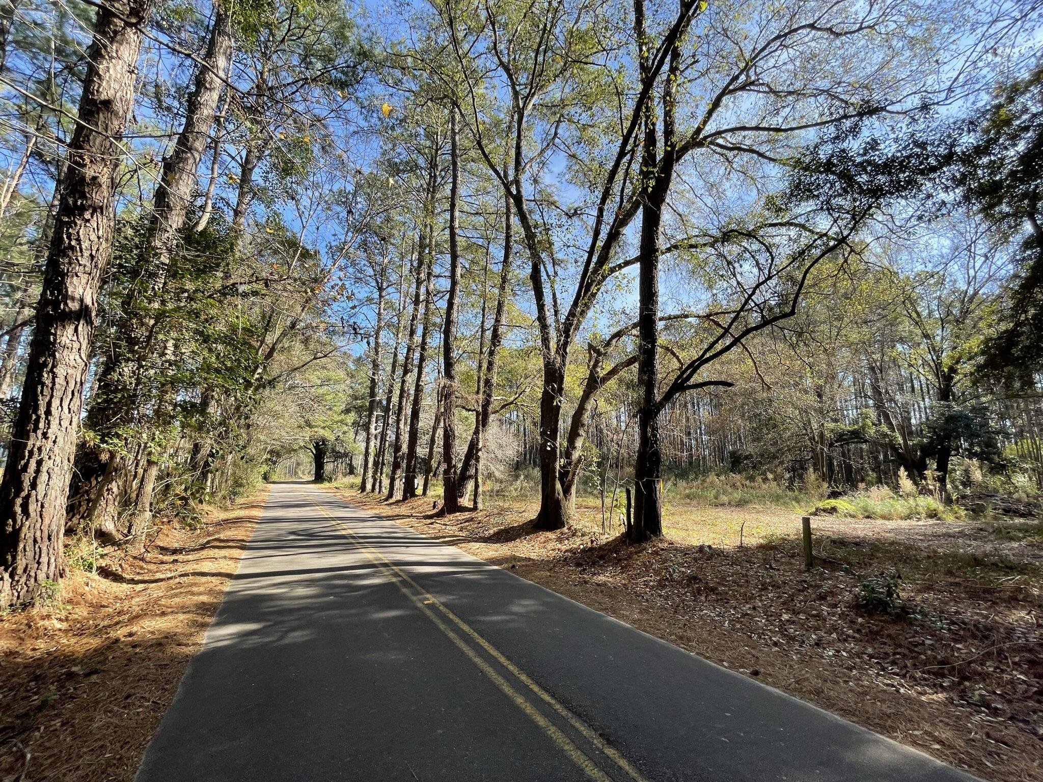 137 Droze Road Summerville, SC 29483 - Photo 5 of 8 Street view