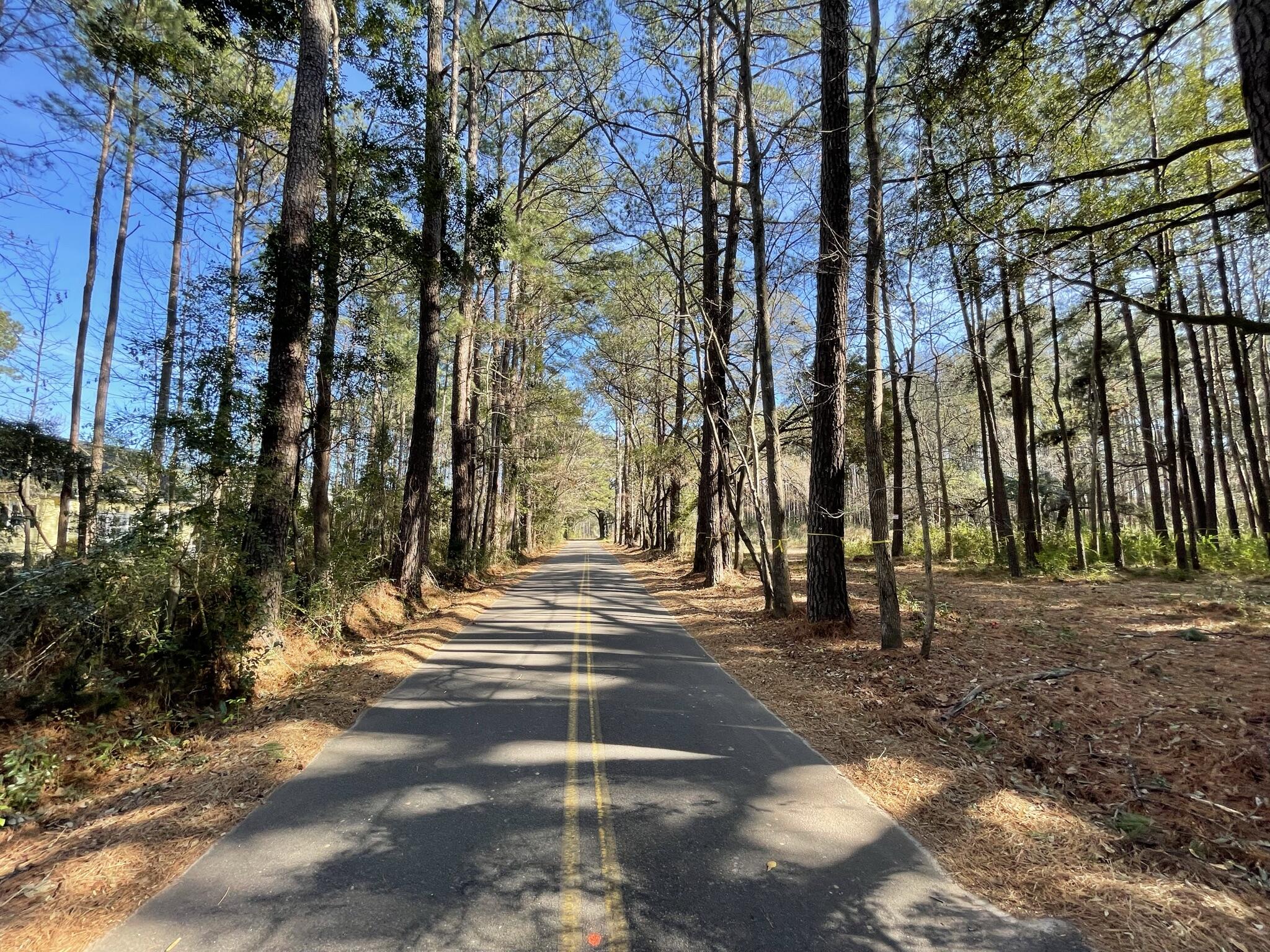 137 Droze Road Summerville, SC 29483 - Photo 6 of 8 Street view