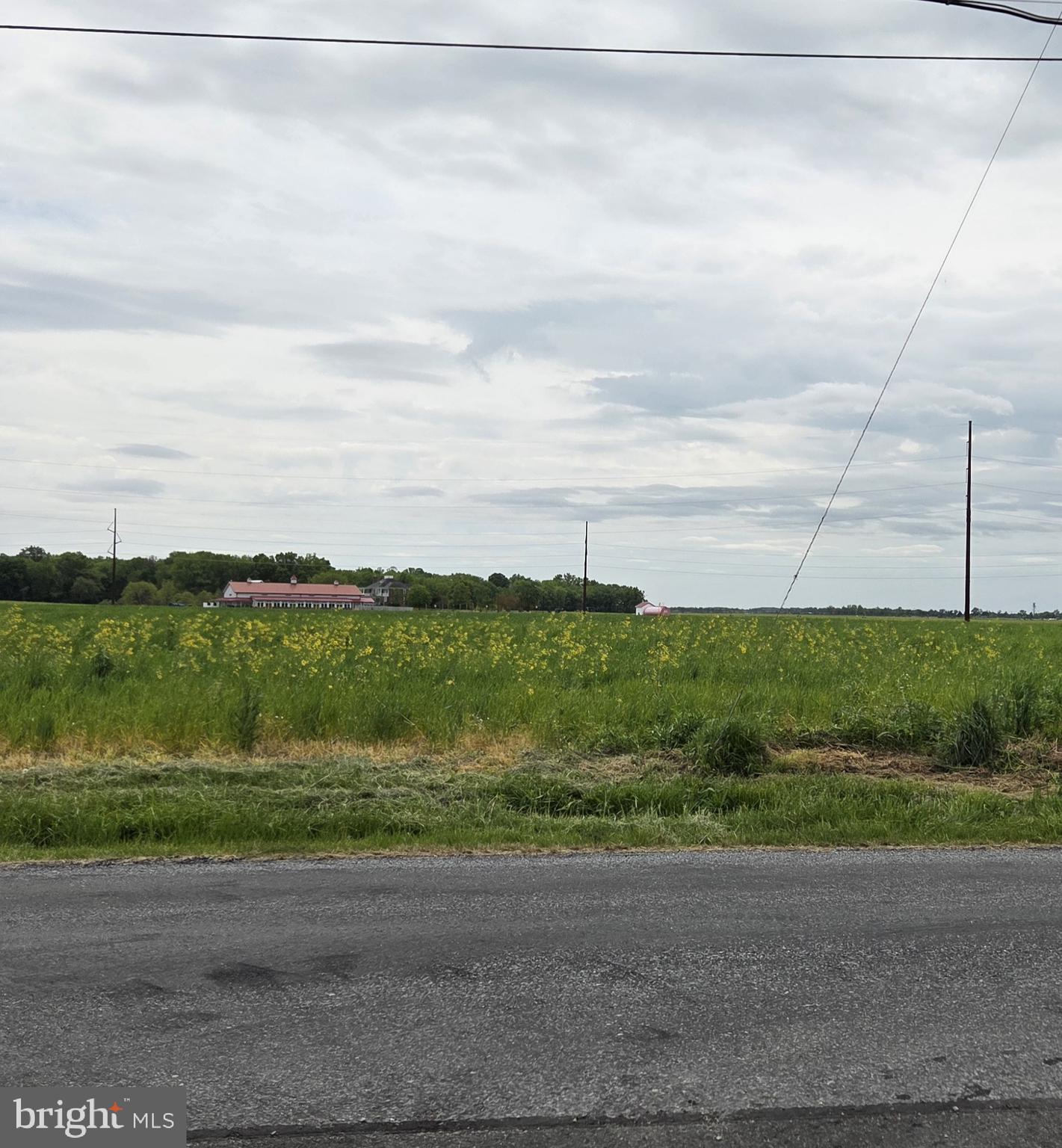 0 Pickering Beach Road Dover, DE 19901 - Photo 3 of 3