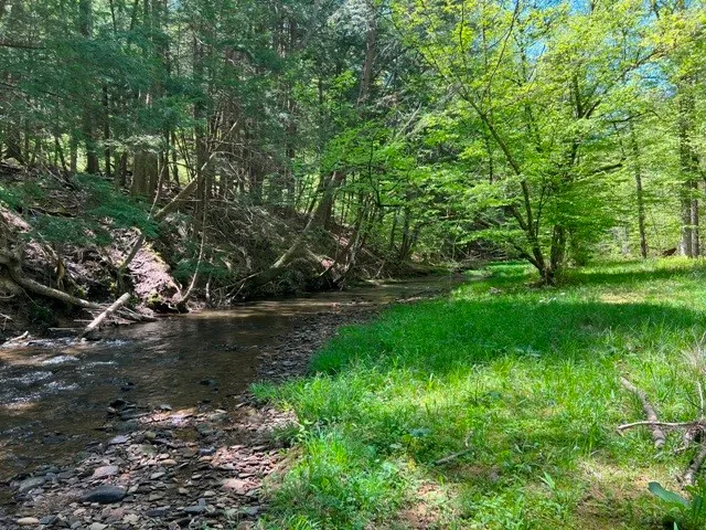 $139,900 | 0 Clear Creek Road, Emporium, PA 15834