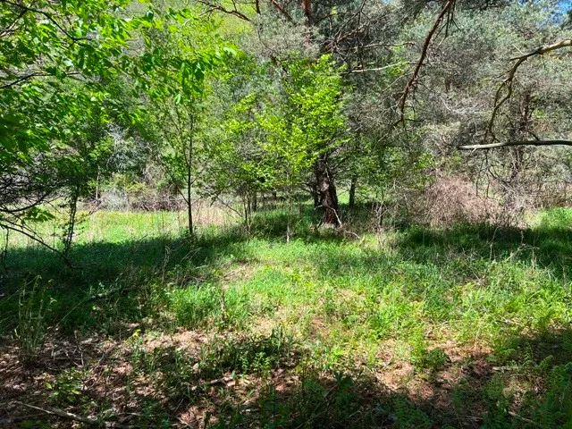 $139,900 | 0 Clear Creek Road, Emporium, PA 15834