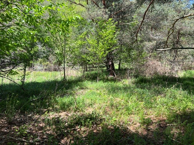 0 Clear Creek Road Emporium, PA 15834 - Photo 11 of 32