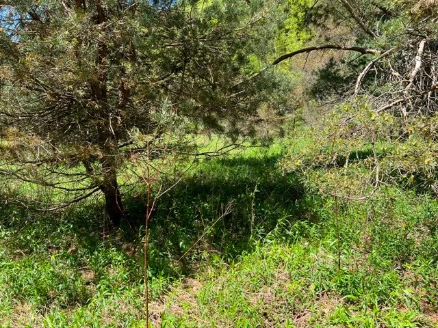 $139,900 | 0 Clear Creek Road, Emporium, PA 15834