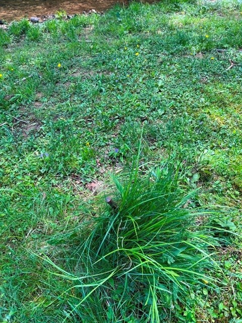 0 Clear Creek Road Emporium, PA 15834 - Photo 13 of 32