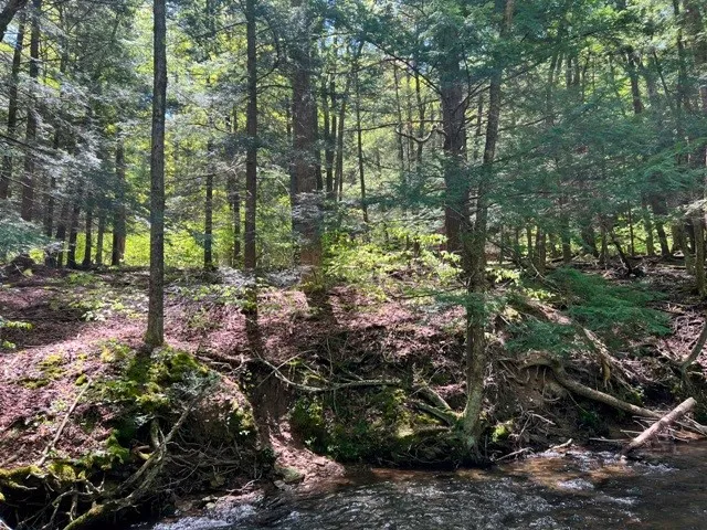 $139,900 | 0 Clear Creek Road, Emporium, PA 15834