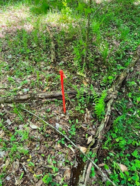 0 Clear Creek Road Emporium, PA 15834 - Photo 17 of 32