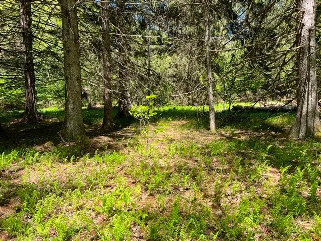 $139,900 | 0 Clear Creek Road, Emporium, PA 15834