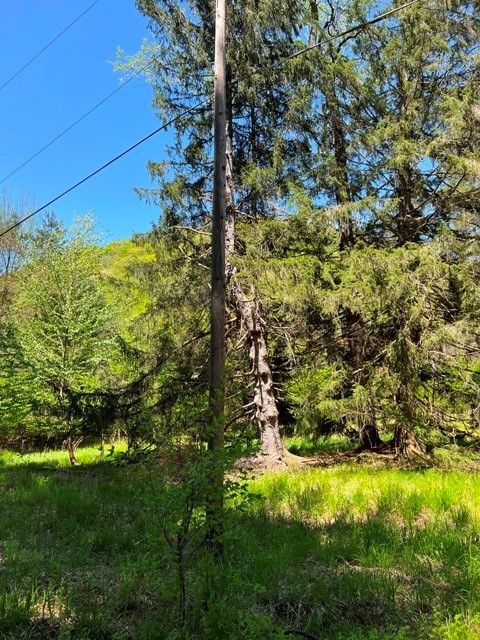 0 Clear Creek Road Emporium, PA 15834 - Photo 19 of 32