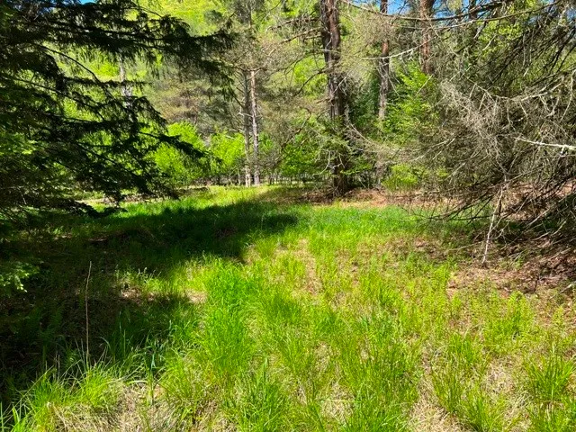 $139,900 | 0 Clear Creek Road, Emporium, PA 15834