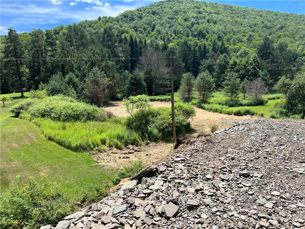 0 Clear Creek Road Emporium, PA 15834 - Photo 2 of 32