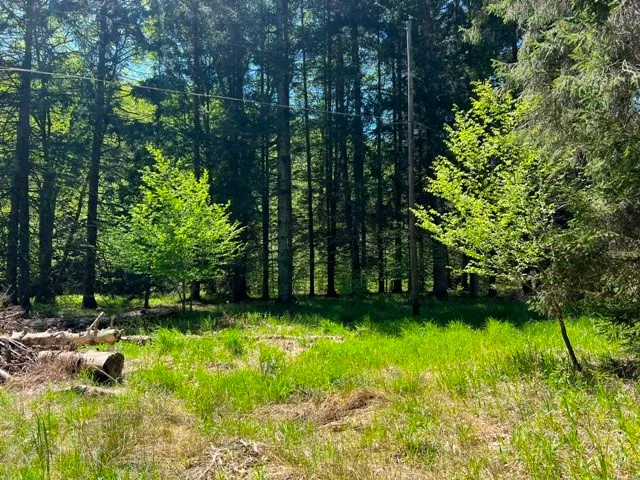 $139,900 | 0 Clear Creek Road, Emporium, PA 15834