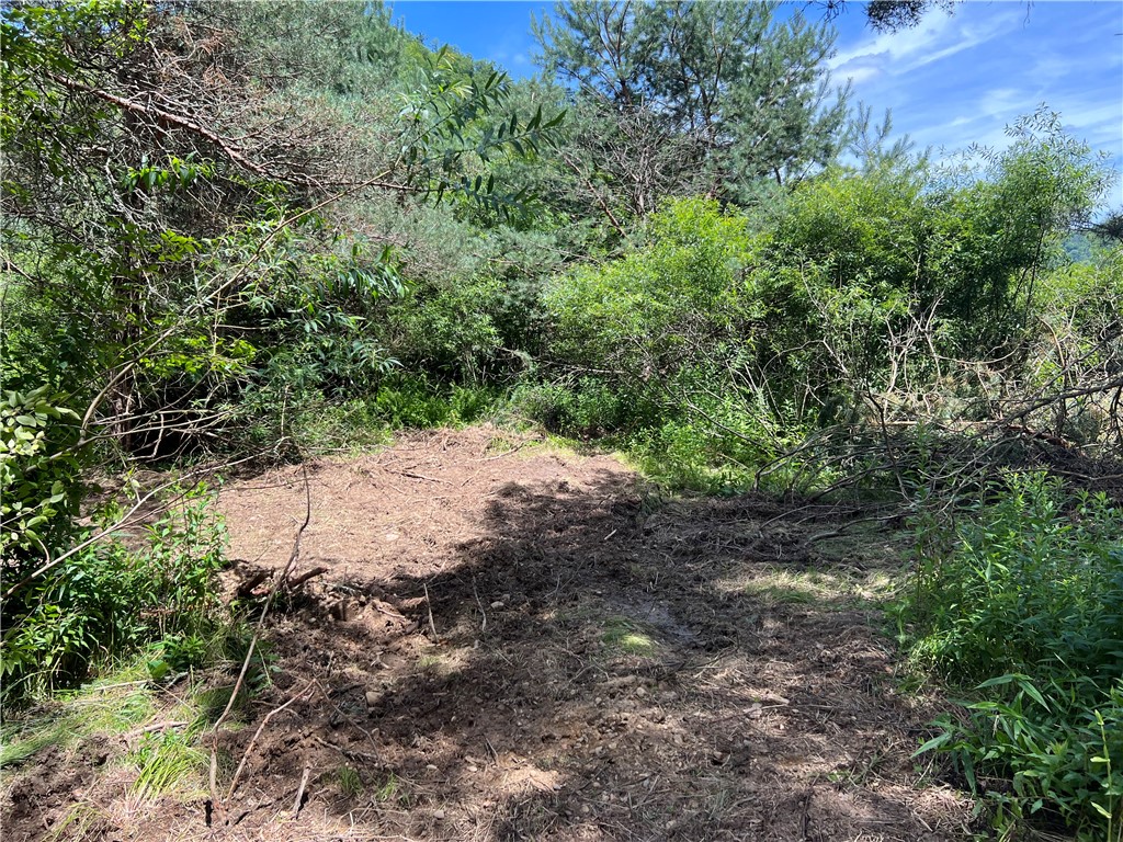 0 Clear Creek Road Emporium, PA 15834 - Photo 24 of 32