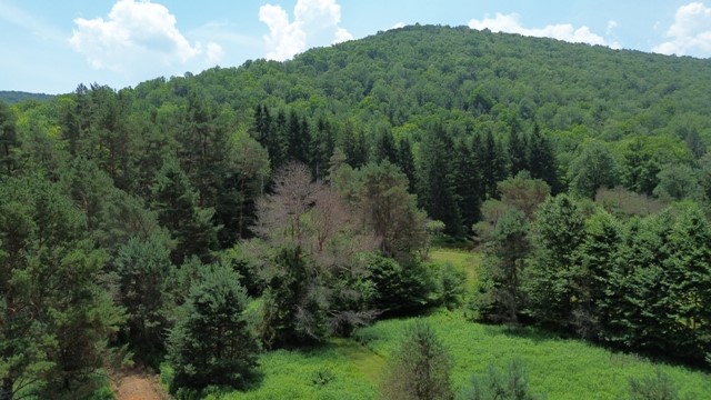 0 Clear Creek Road Emporium, PA 15834 - Photo 25 of 32