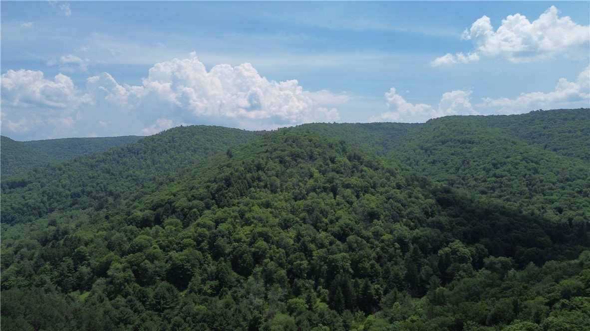 0 Clear Creek Road Emporium, PA 15834 - Photo 29 of 32