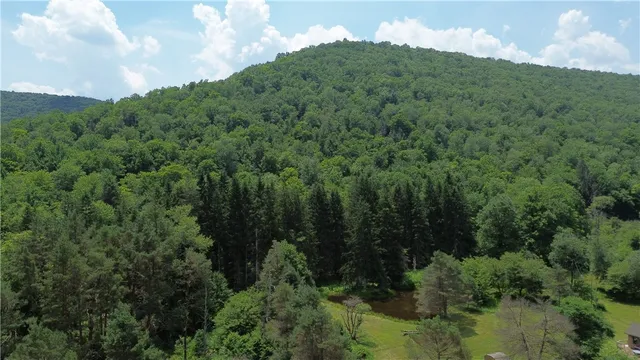 $139,900 | 0 Clear Creek Road, Emporium, PA 15834