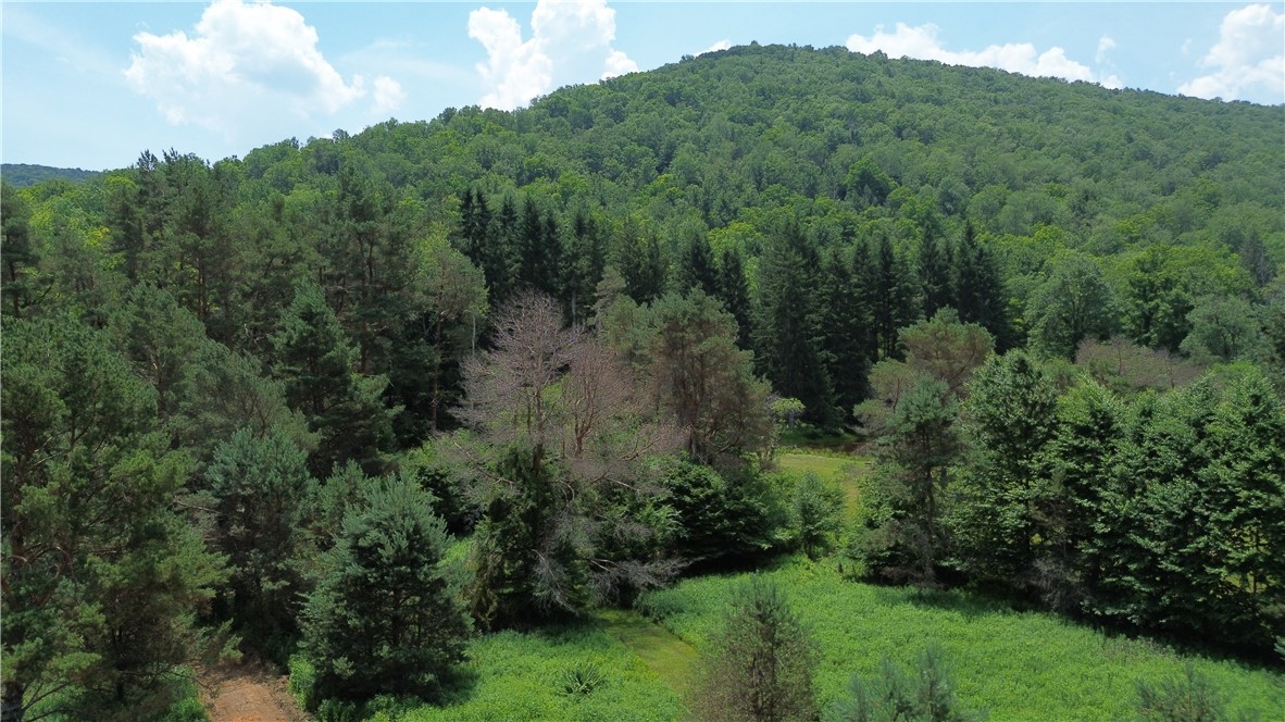 0 Clear Creek Road Emporium, PA 15834 - Photo 31 of 32