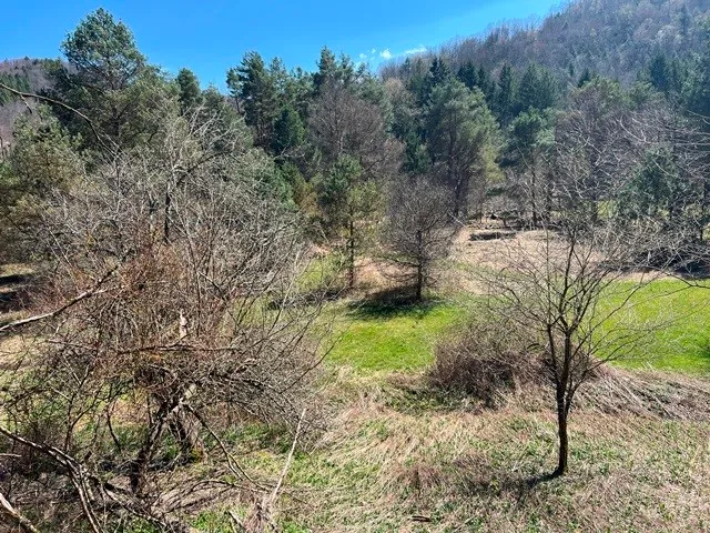 $139,900 | 0 Clear Creek Road, Emporium, PA 15834