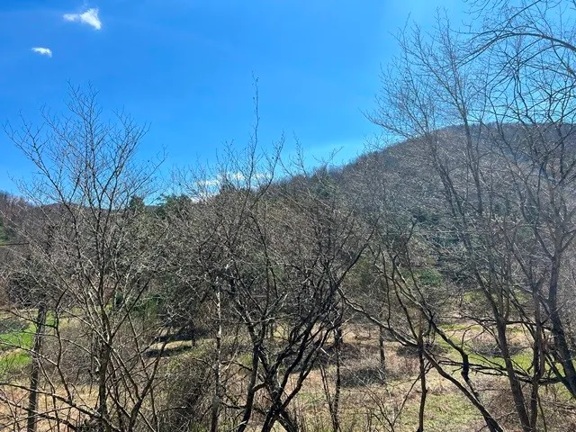 $139,900 | 0 Clear Creek Road, Emporium, PA 15834