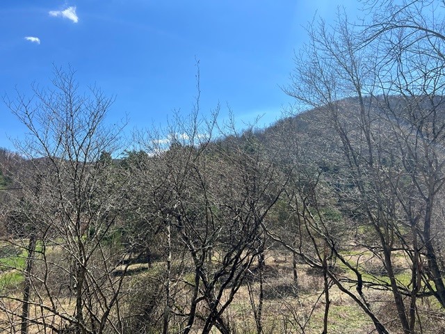 0 Clear Creek Road Emporium, PA 15834 - Photo 7 of 32