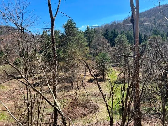 $139,900 | 0 Clear Creek Road, Emporium, PA 15834