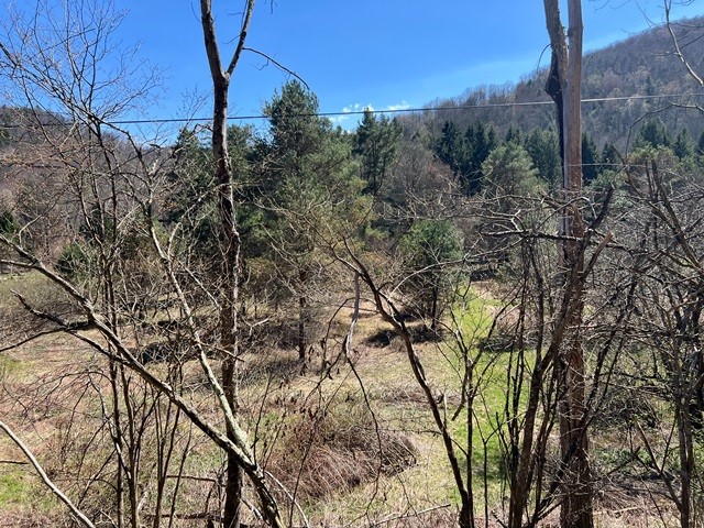 0 Clear Creek Road Emporium, PA 15834 - Photo 8 of 32