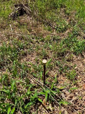 $139,900 | 0 Clear Creek Road, Emporium, PA 15834