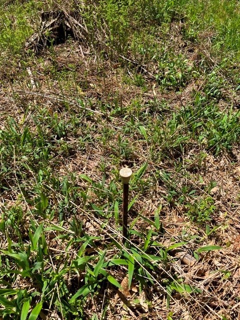 0 Clear Creek Road Emporium, PA 15834 - Photo 10 of 32