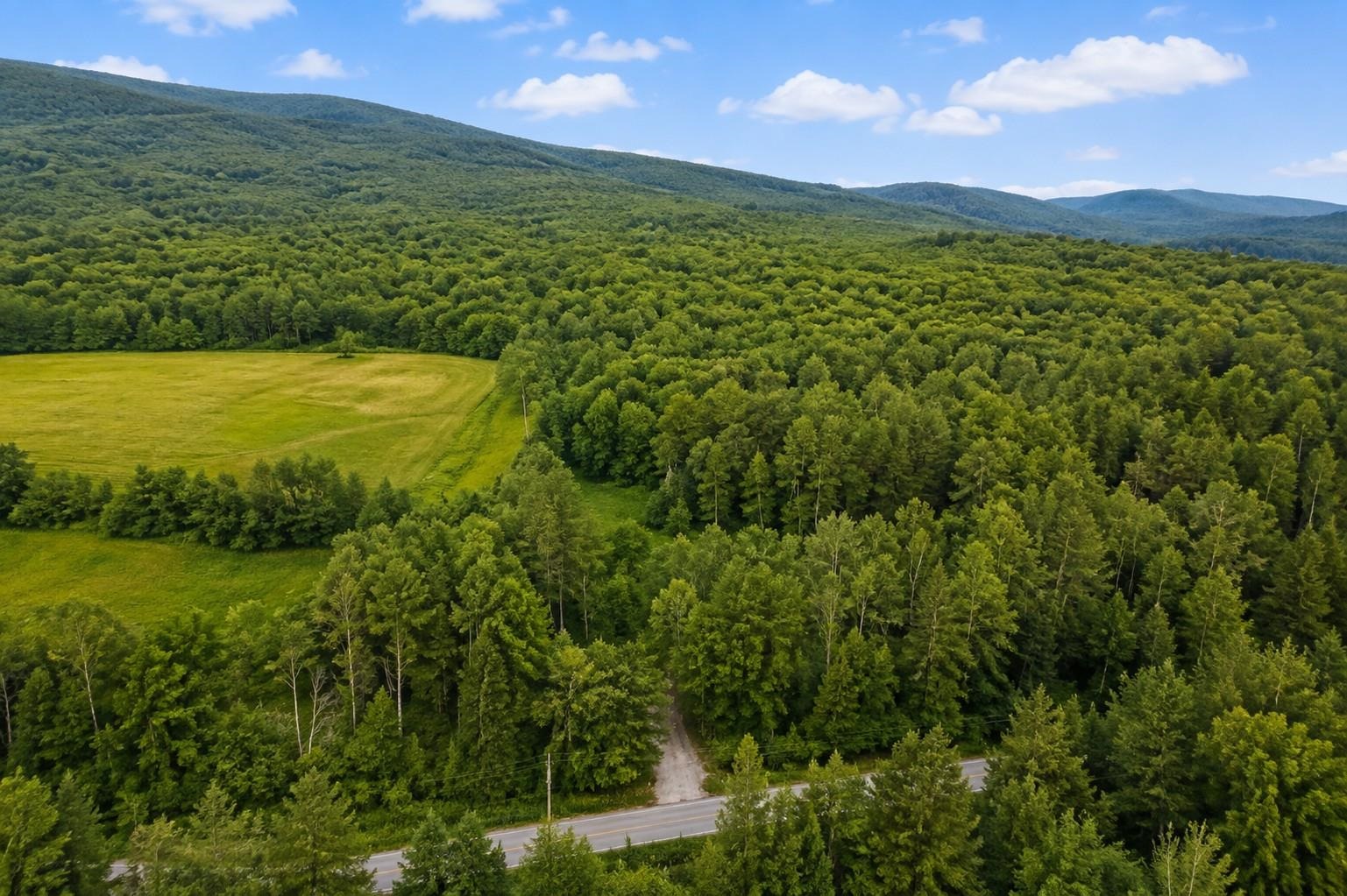 231 Vermont Rte 100 Weston, VT 05161 - Photo 40 of 42 Gallery Image 40