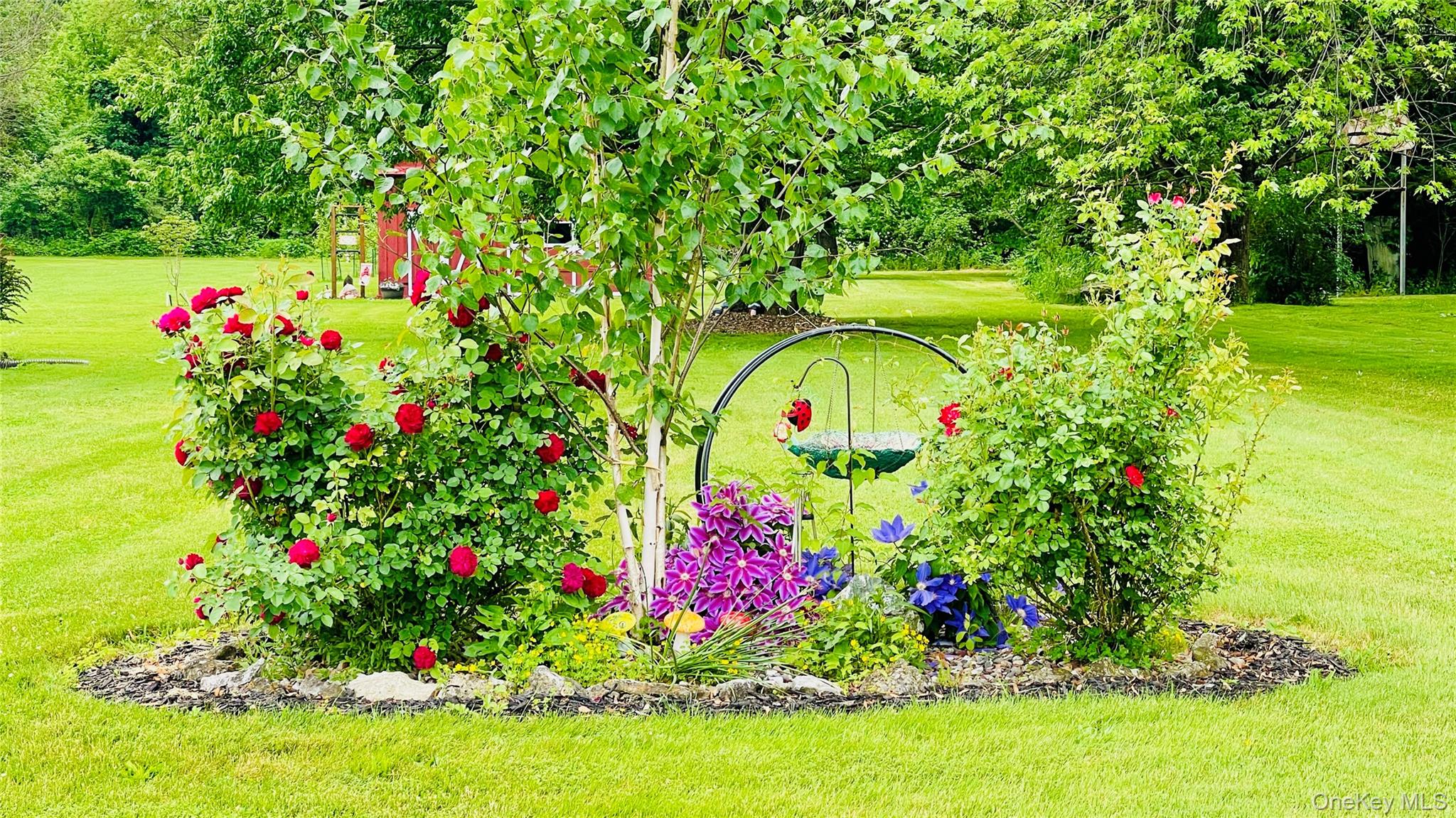 137 Cross Road Goshen, NY 10924 - Photo 43 of 50 a view of a flower in a garden