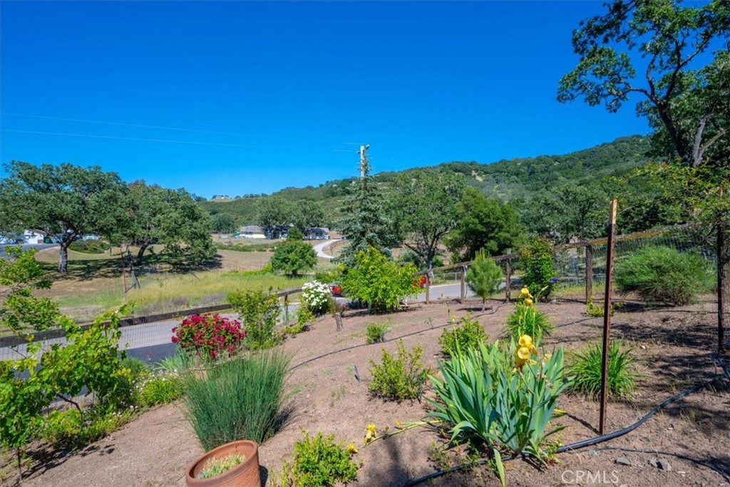 11625 Cenegal Road Atascadero, CA 93422 - Photo 39 of 54 a view of a garden with a lake view