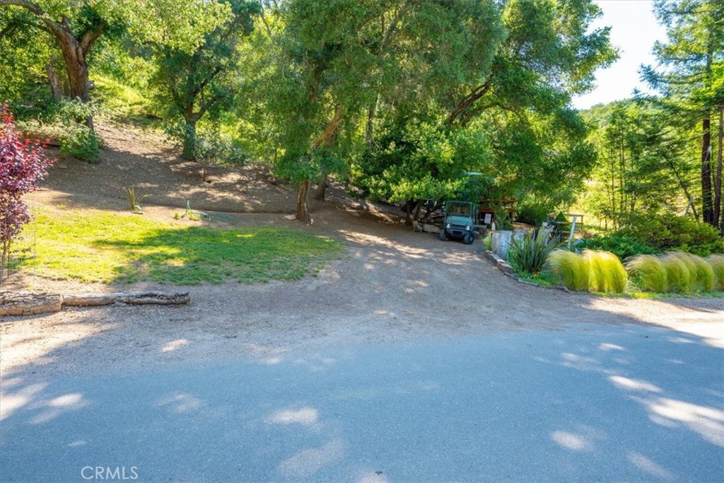11625 Cenegal Road Atascadero, CA 93422 - Photo 41 of 54 a view of a yard with plants and a large tree