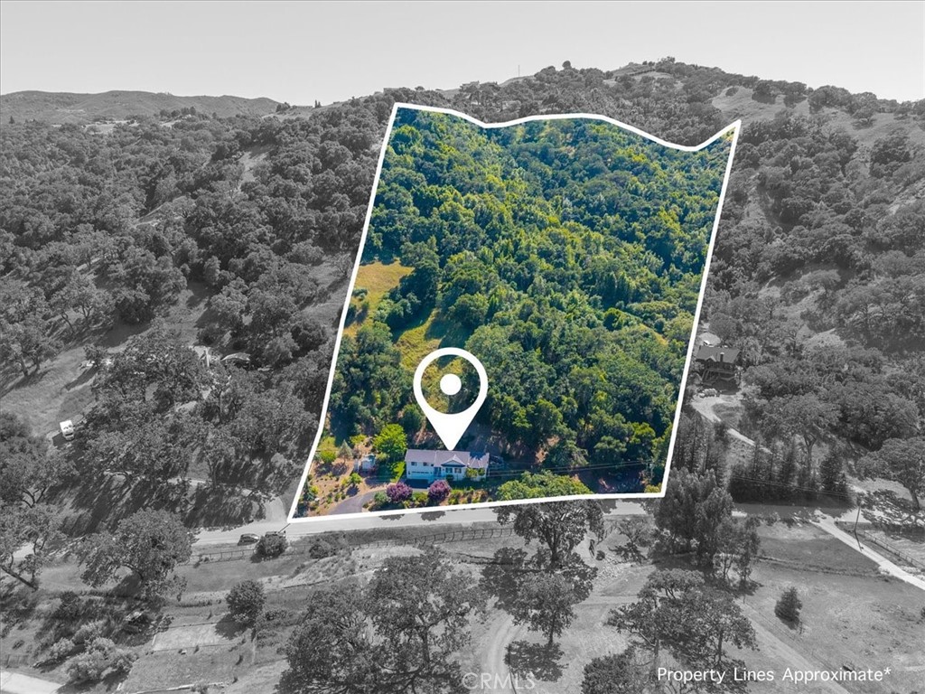 11625 Cenegal Road Atascadero, CA 93422 - Photo 48 of 54 a bird view of a tree