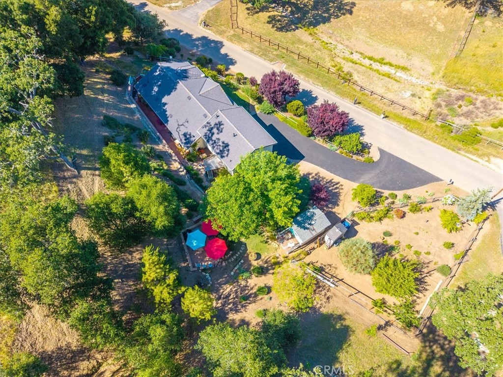 11625 Cenegal Road Atascadero, CA 93422 - Photo 50 of 54 a picture of flowers