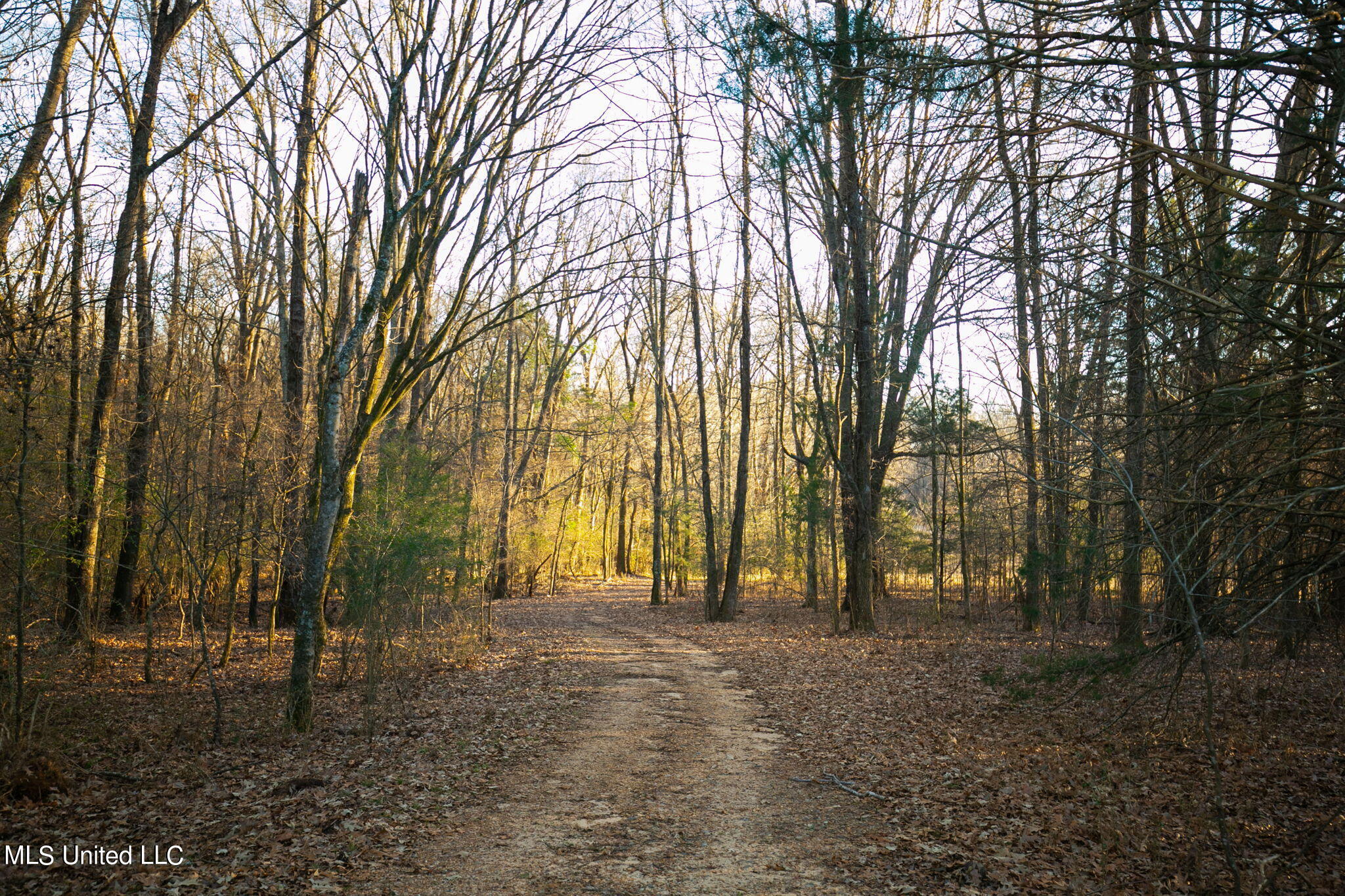 280 McCullough Lane Flora, MS 39071 - Photo 46 of 46 77-web-or-mls-280 McCullough-67