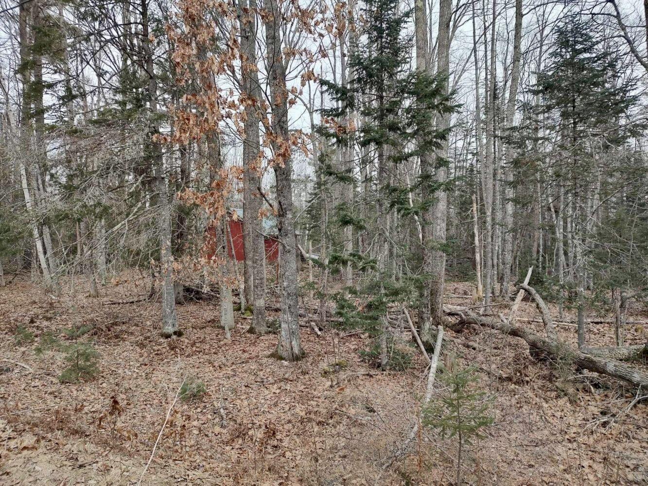 M7-l28 Lapoint Road Stetson, ME 04488 - Photo 17 of 22 IMG_8552