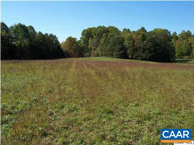 0 Secretarys Sand Road Schuyler, VA 22969 - Photo 3 of 6 a view of a yard