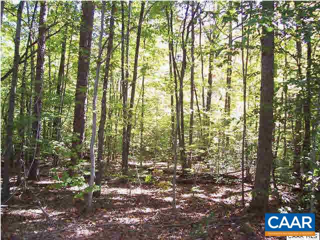 0 Secretarys Sand Road Schuyler, VA 22969 - Photo 4 of 6 a view of outdoor space and garden
