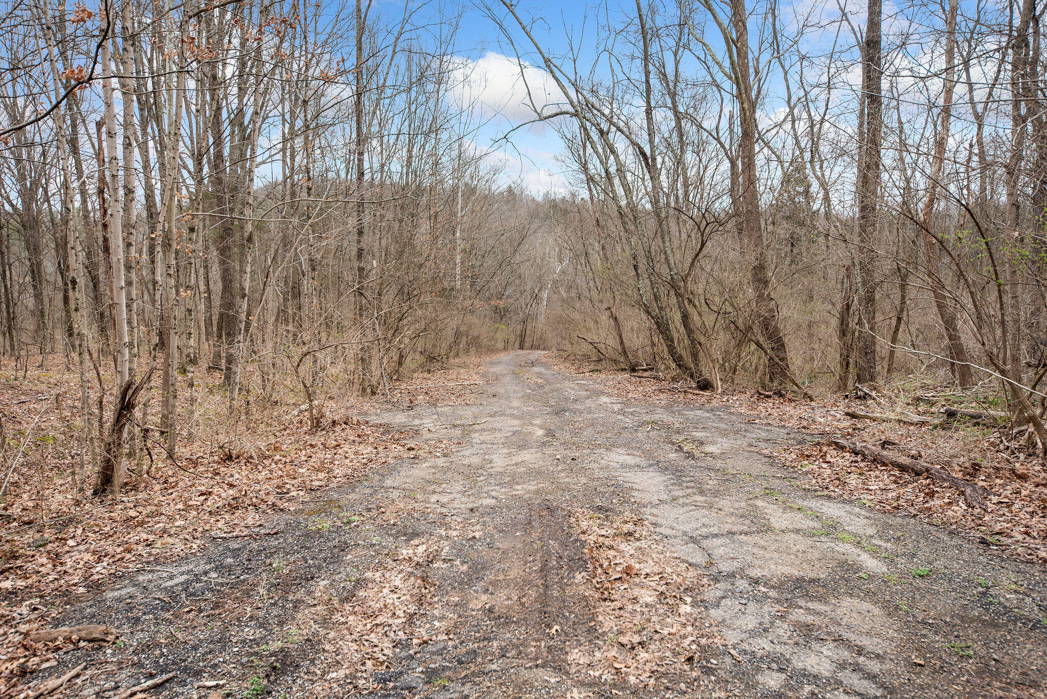 0 Painter Road California, KY 41007 - Photo 17 of 26