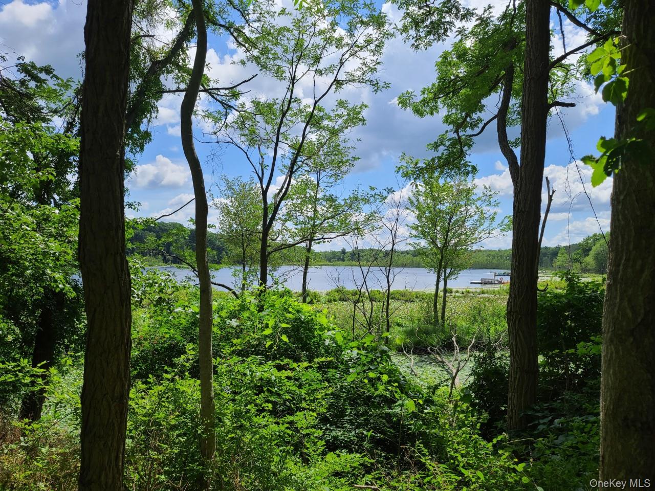 11 Beacham Road Rhinebeck, NY 12572 - Photo 26 of 27 a view of a garden