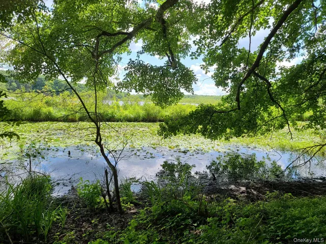 a view of an outdoor space with a lake view