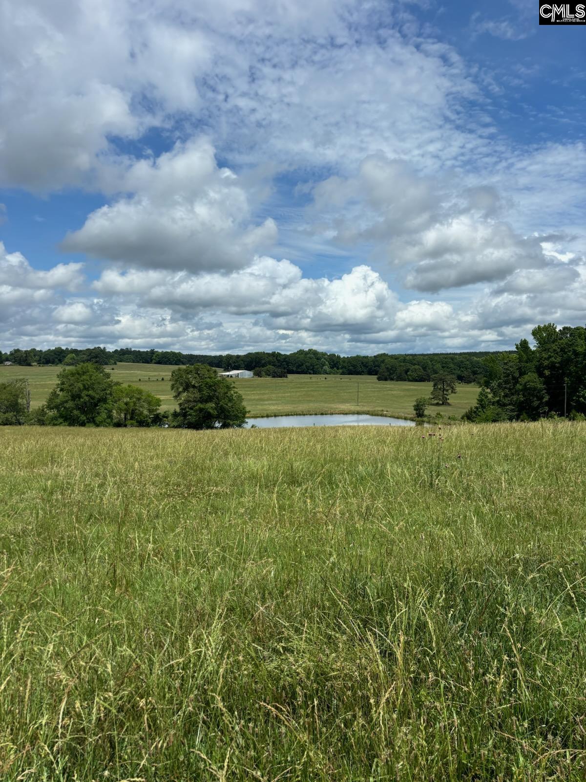 542 Pea Ridge Highway Jonesville, SC 29353 - Photo 49 of 72