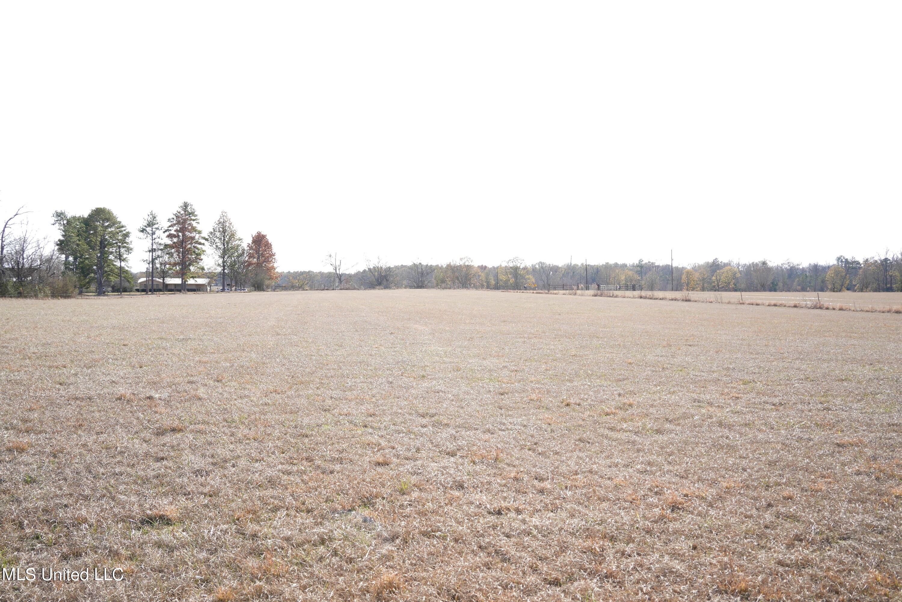 1630 Volley Campbell Road Terry, MS 39170 - Photo 3 of 20 DSC00402