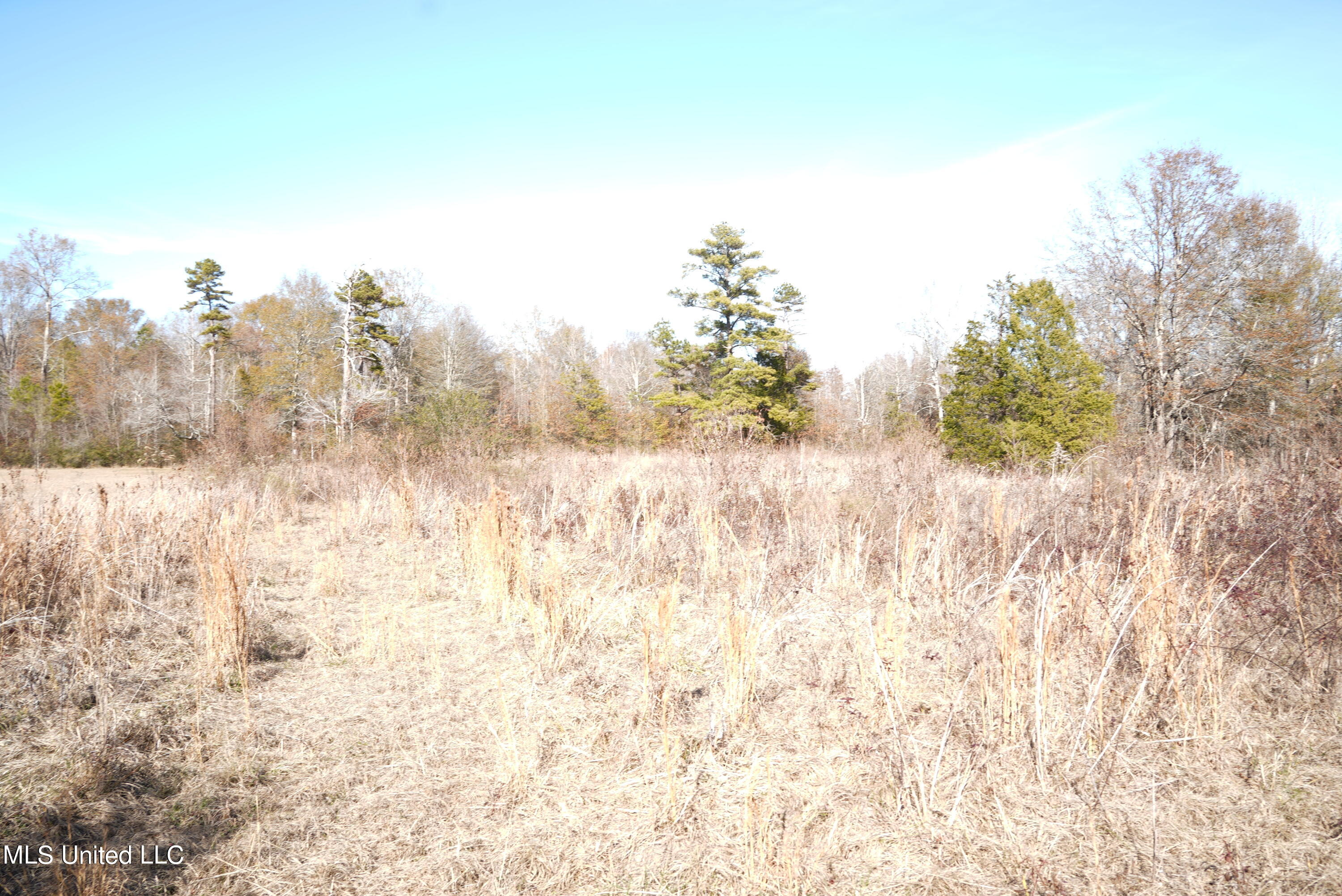 1630 Volley Campbell Road Terry, MS 39170 - Photo 8 of 20 DSC00394