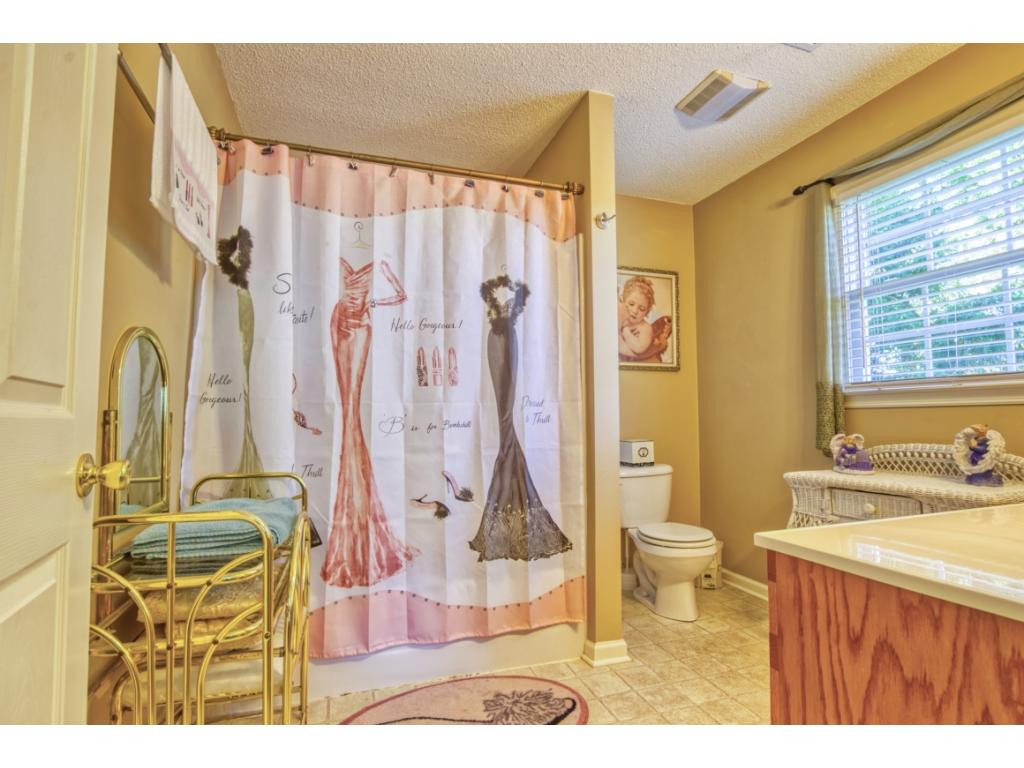 300 Painter Road Fall Branch, TN 37656 - Photo 21 of 32 Photo 21