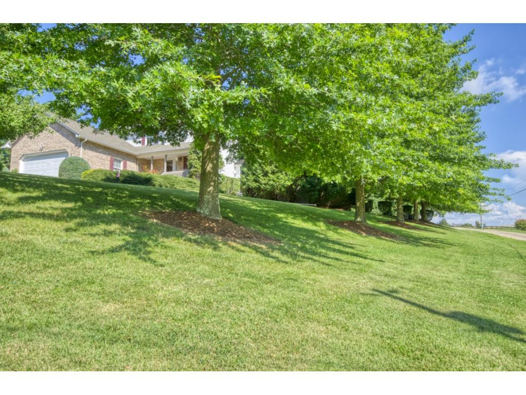300 Painter Road Fall Branch, TN 37656 - Photo 31 of 32 Photo 31