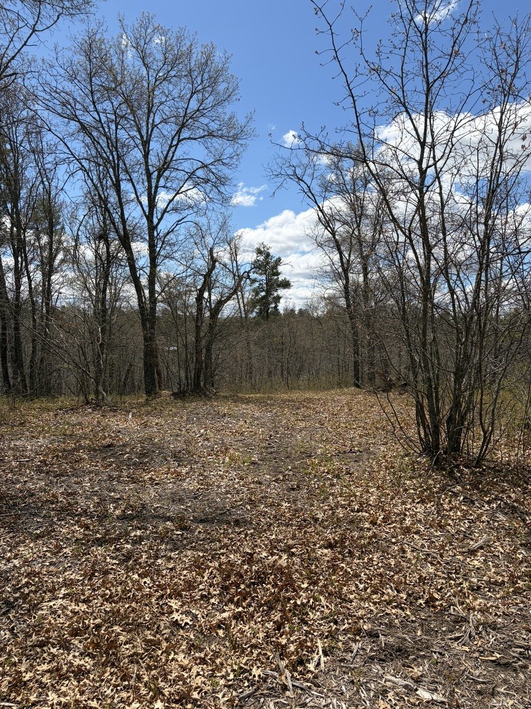 Lot 2 Sleepy Eye Road Minong, WI 54859 - Photo 10 of 10
