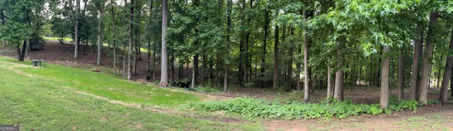 a view of backyard with green space